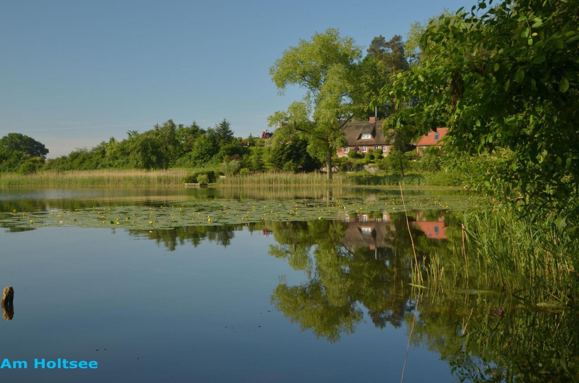Ohm Lägenhet Holtsee Exteriör bild